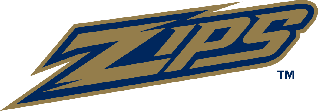 Akron Zips 2002-Pres Wordmark Logo v2 diy DTF decal sticker